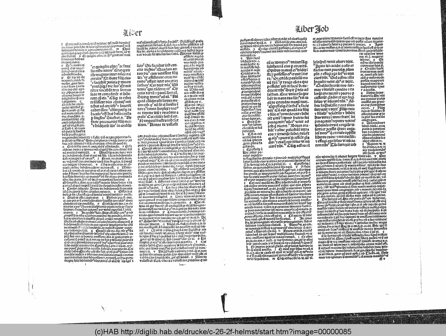 http://diglib.hab.de/drucke/c-26-2f-helmst/00000085.gif