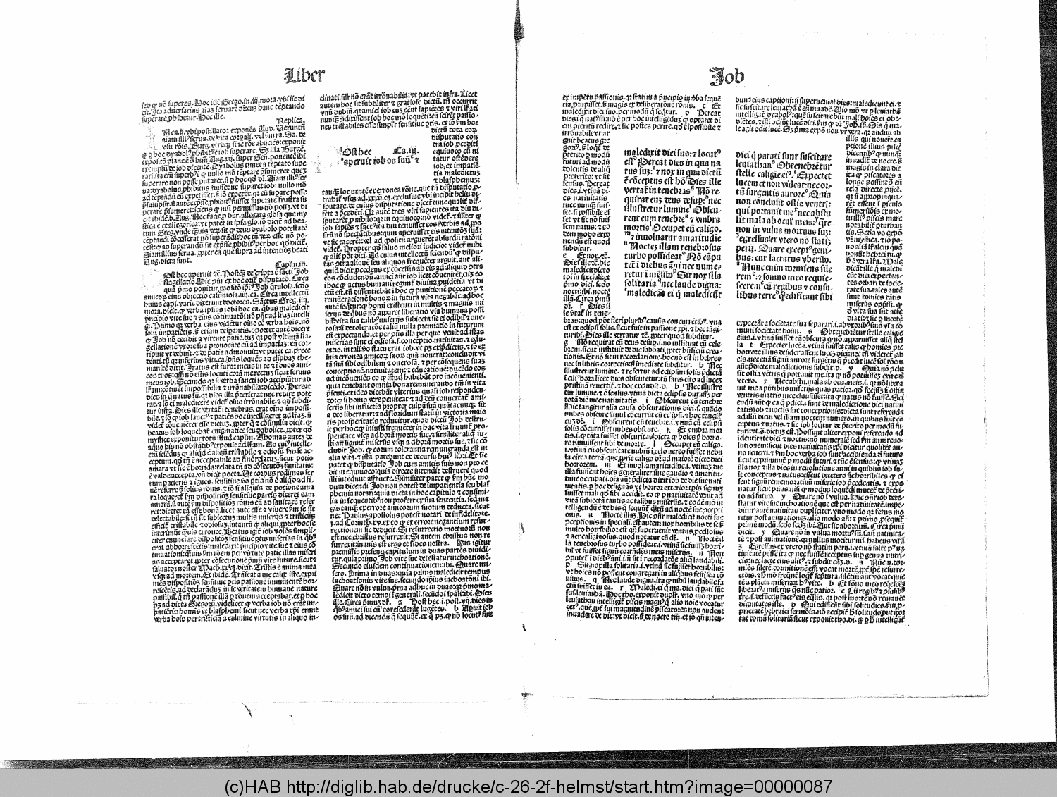 http://diglib.hab.de/drucke/c-26-2f-helmst/00000087.gif