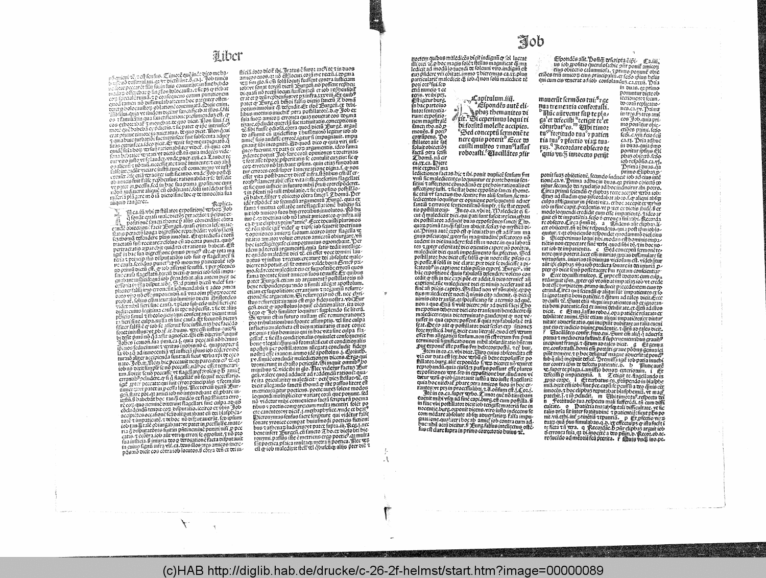 http://diglib.hab.de/drucke/c-26-2f-helmst/00000089.gif