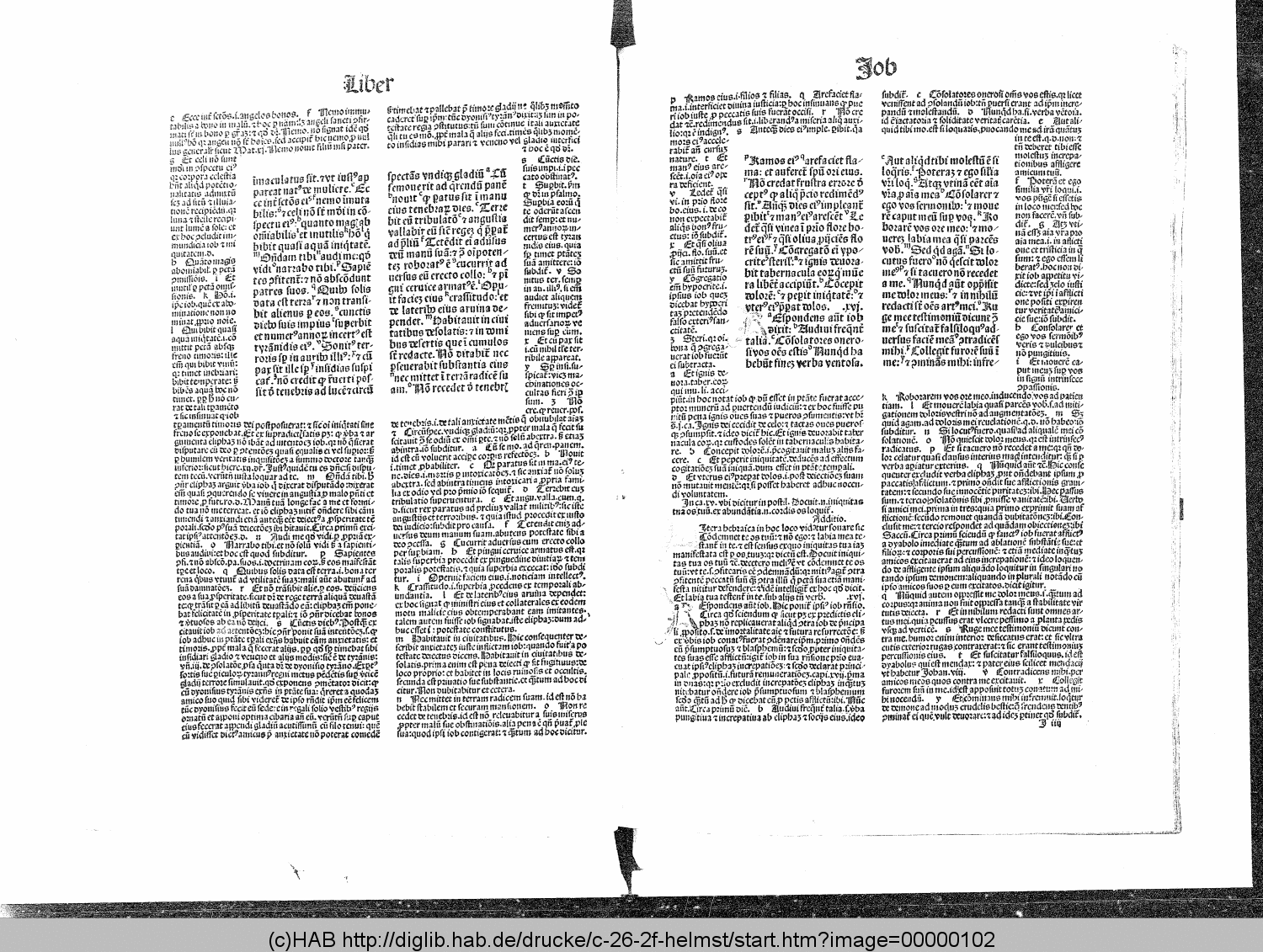 http://diglib.hab.de/drucke/c-26-2f-helmst/00000102.gif