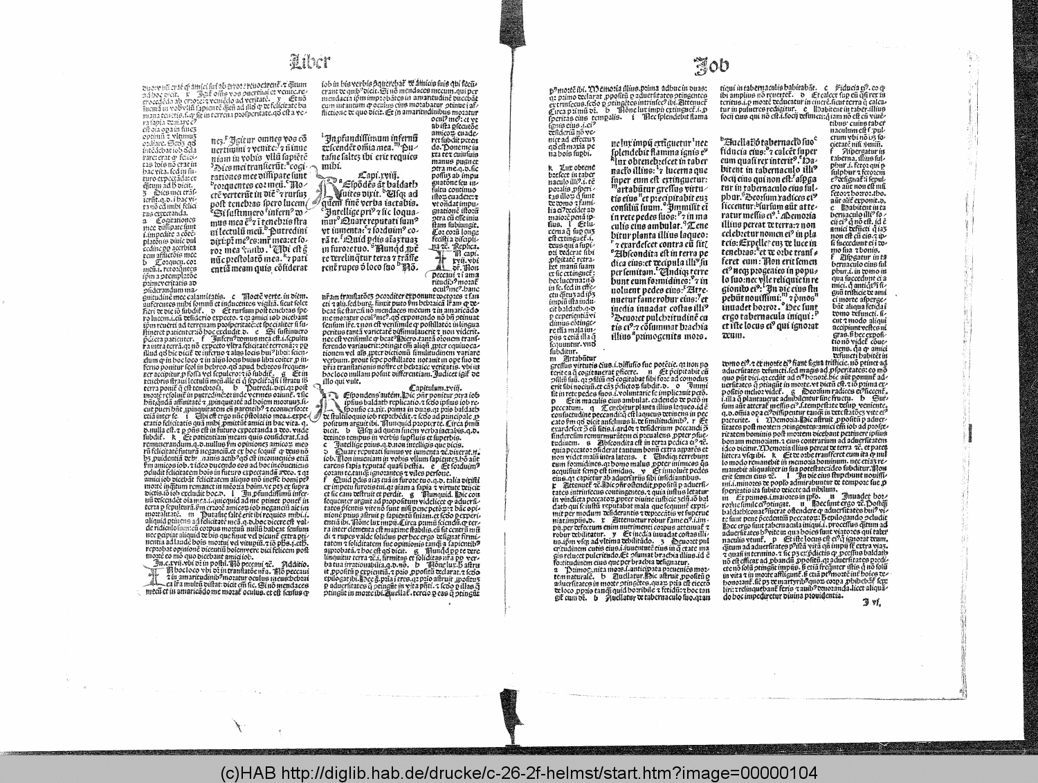 http://diglib.hab.de/drucke/c-26-2f-helmst/00000104.gif