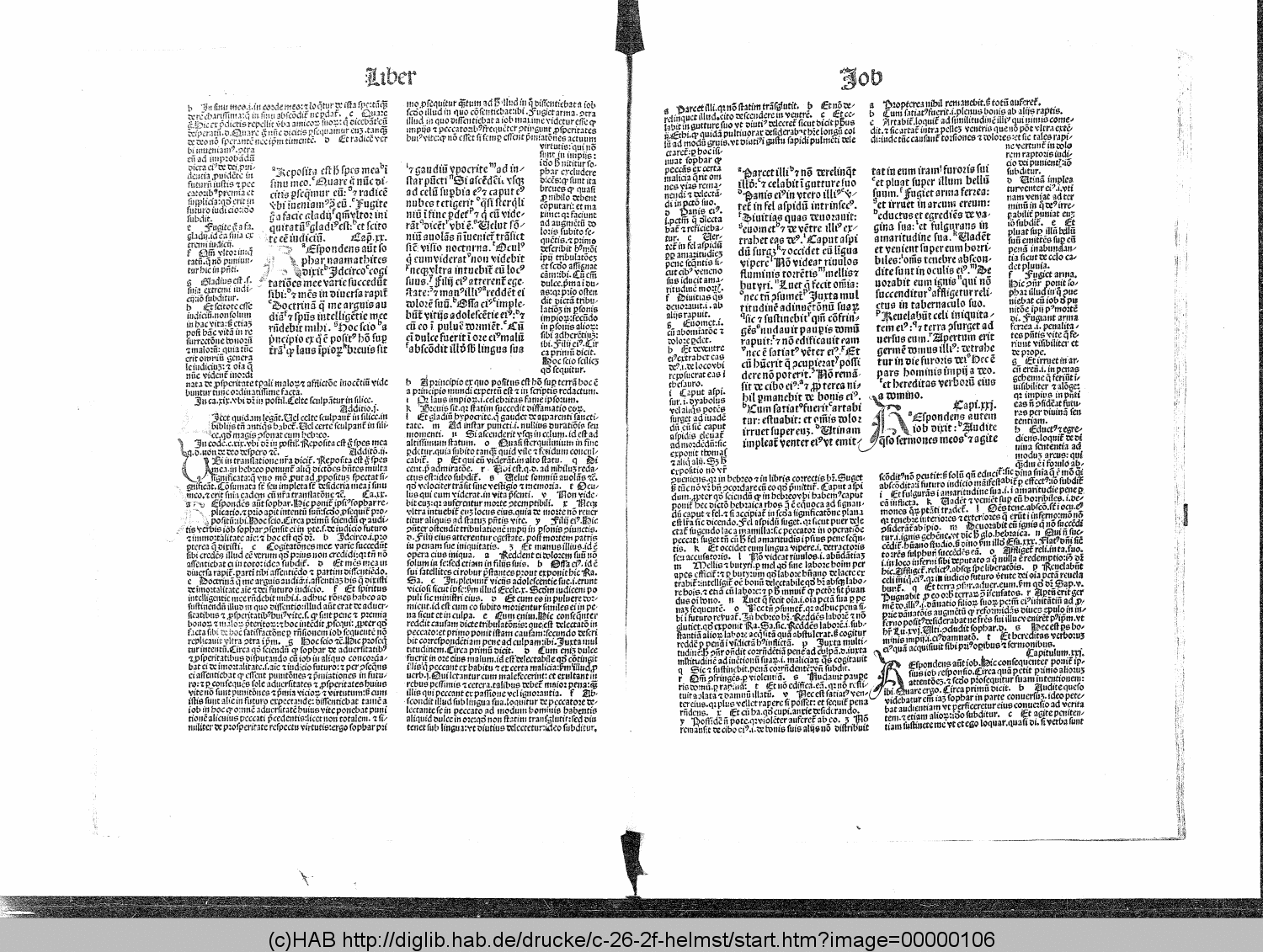 http://diglib.hab.de/drucke/c-26-2f-helmst/00000106.gif