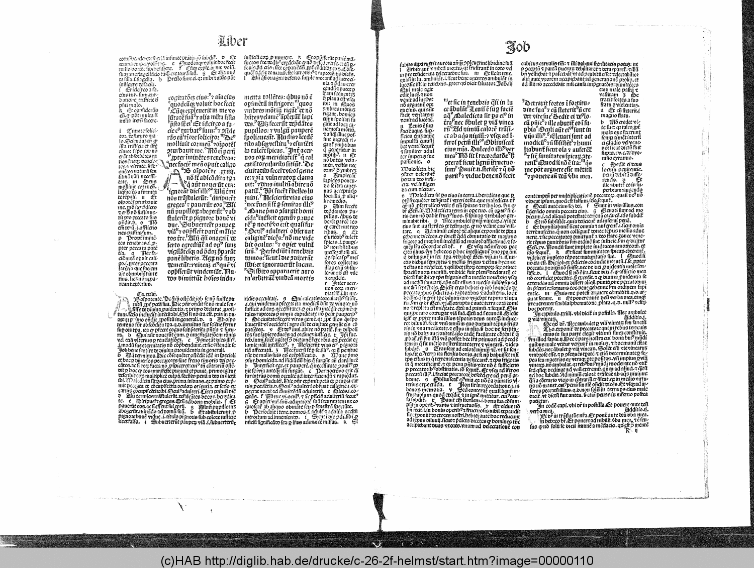 http://diglib.hab.de/drucke/c-26-2f-helmst/00000110.gif
