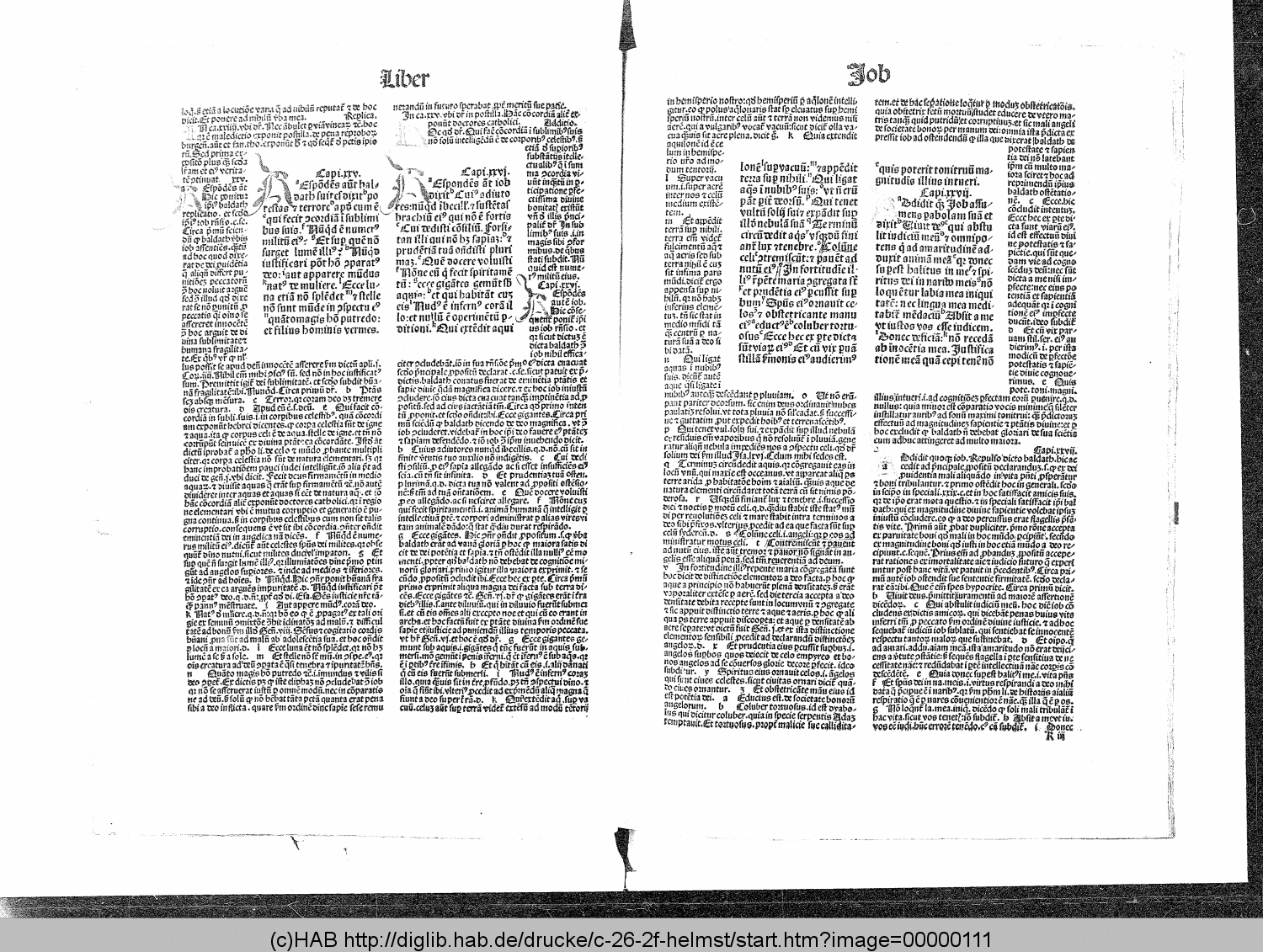http://diglib.hab.de/drucke/c-26-2f-helmst/00000111.gif