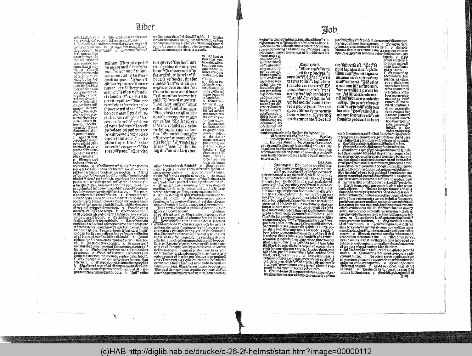 http://diglib.hab.de/drucke/c-26-2f-helmst/00000112.gif