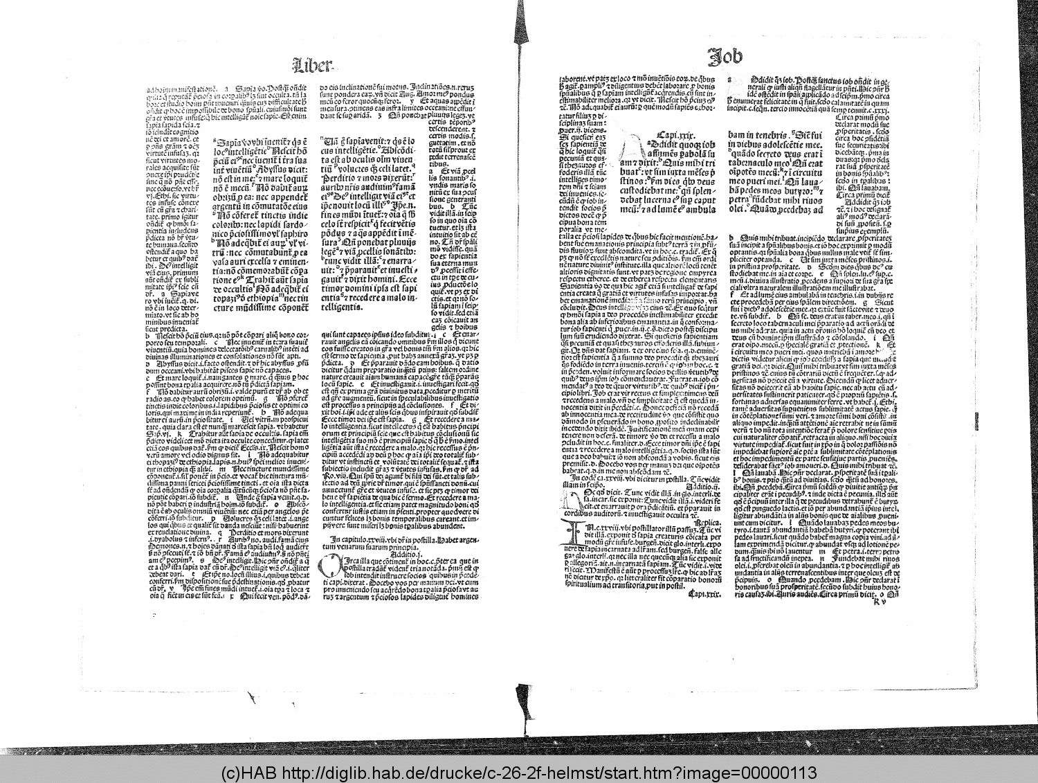 http://diglib.hab.de/drucke/c-26-2f-helmst/00000113.gif