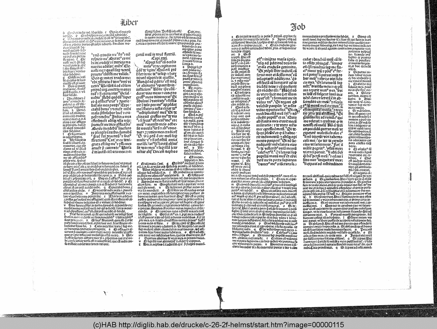 http://diglib.hab.de/drucke/c-26-2f-helmst/00000115.gif