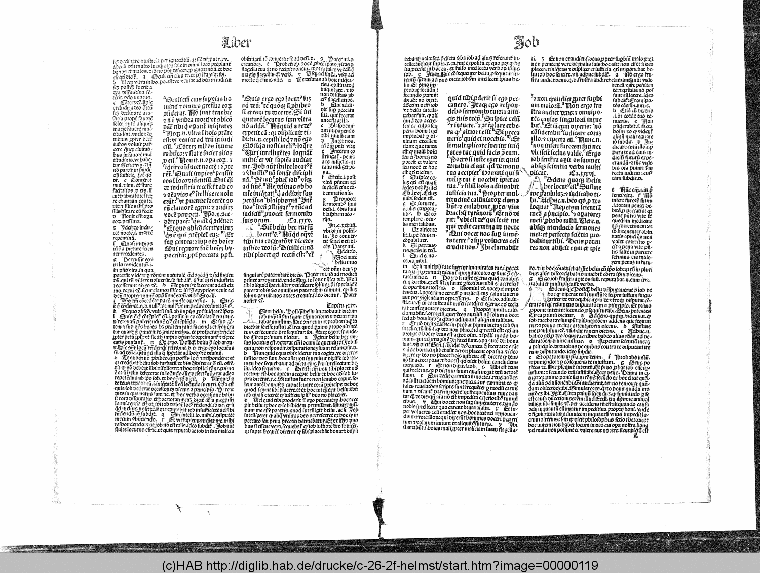 http://diglib.hab.de/drucke/c-26-2f-helmst/00000119.gif