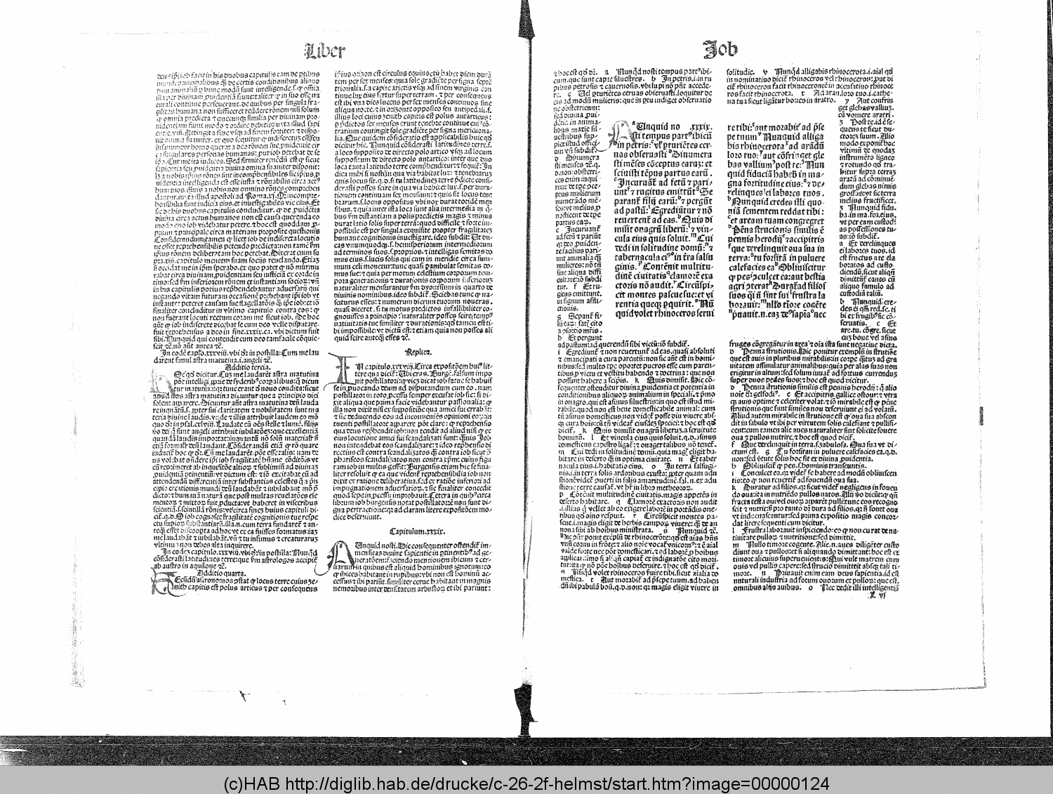 http://diglib.hab.de/drucke/c-26-2f-helmst/00000124.gif