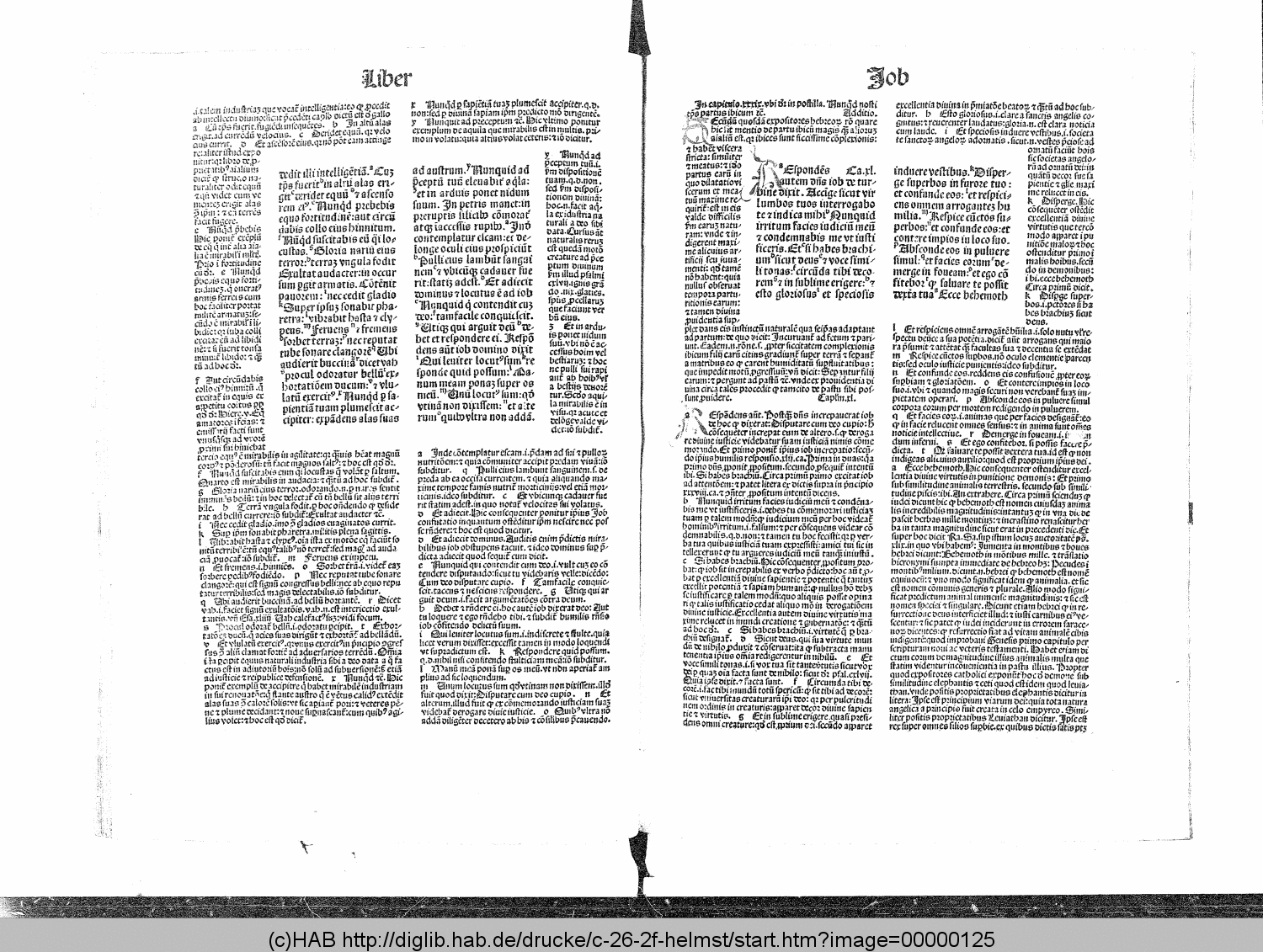 http://diglib.hab.de/drucke/c-26-2f-helmst/00000125.gif