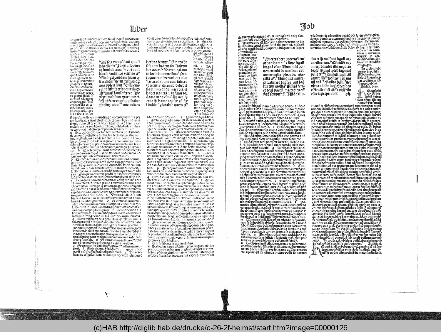 http://diglib.hab.de/drucke/c-26-2f-helmst/00000126.gif