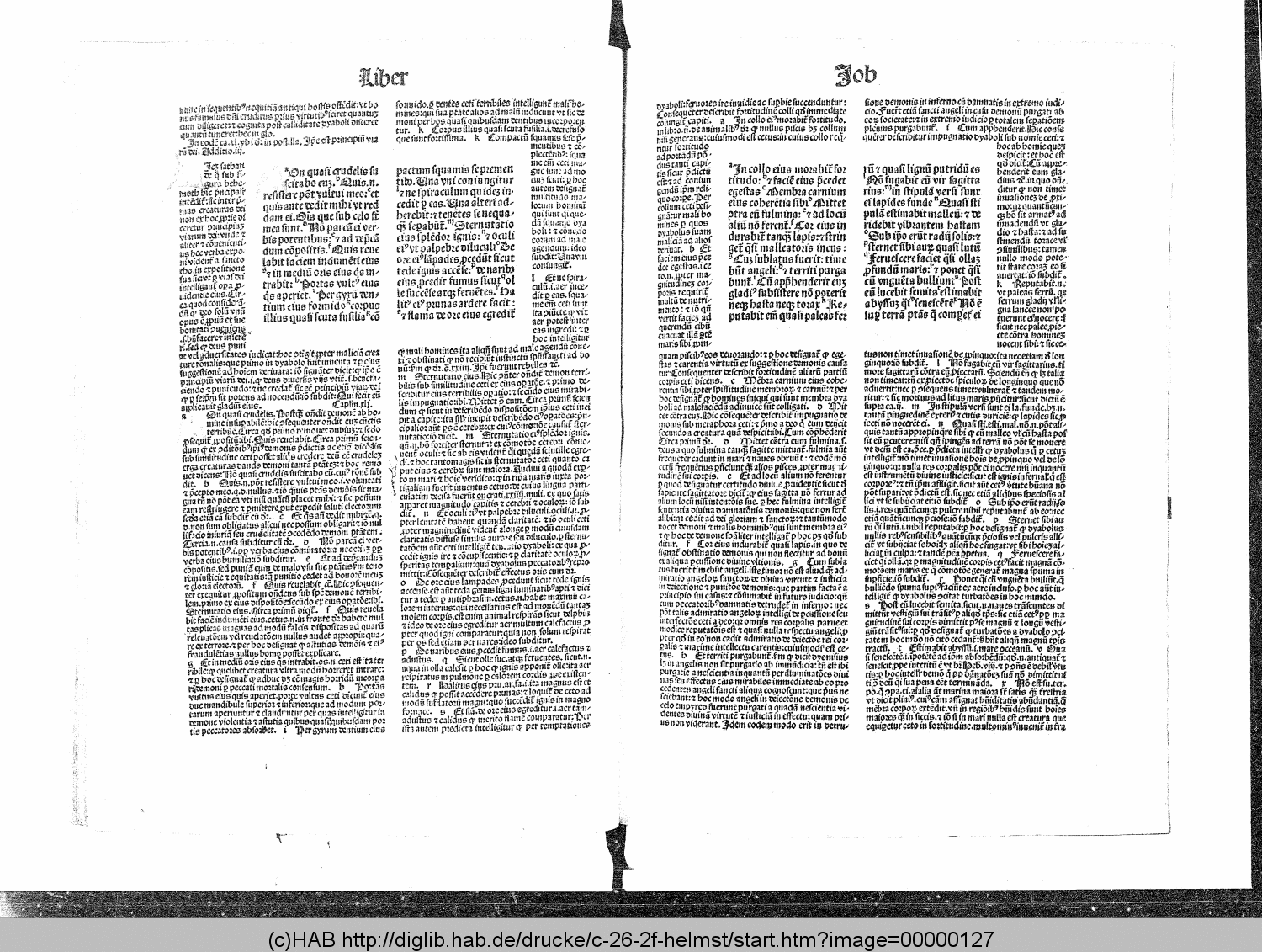 http://diglib.hab.de/drucke/c-26-2f-helmst/00000127.gif