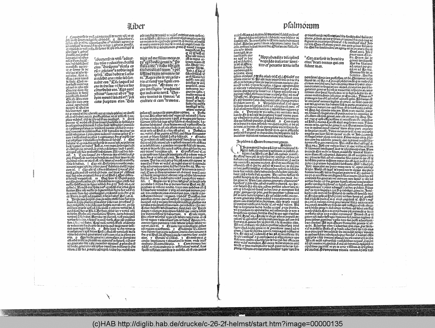 http://diglib.hab.de/drucke/c-26-2f-helmst/00000135.gif