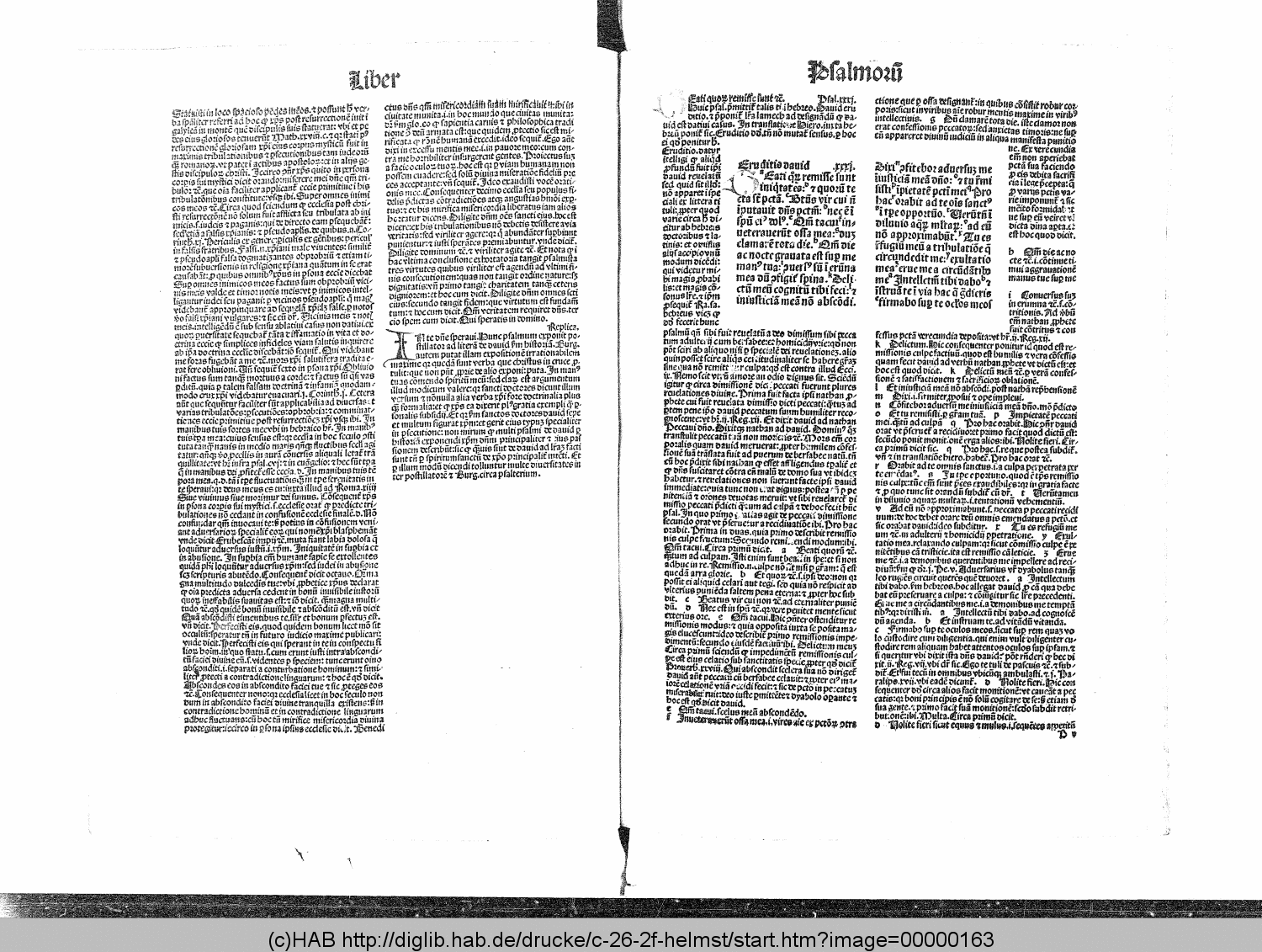 http://diglib.hab.de/drucke/c-26-2f-helmst/00000163.gif