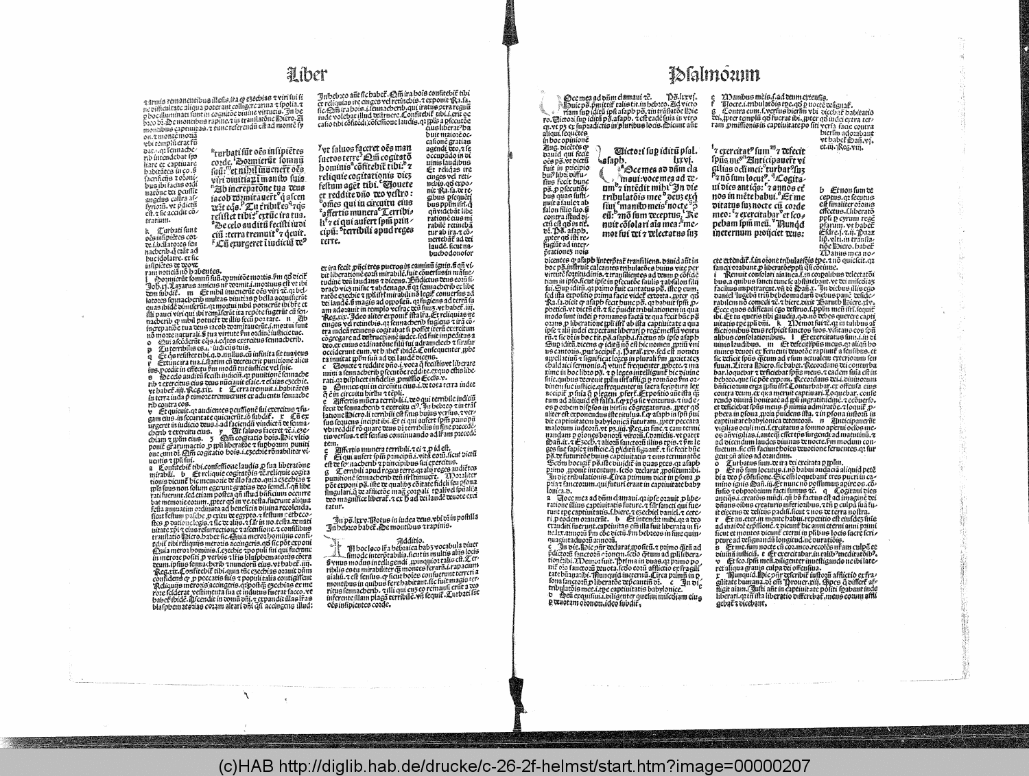http://diglib.hab.de/drucke/c-26-2f-helmst/00000207.gif