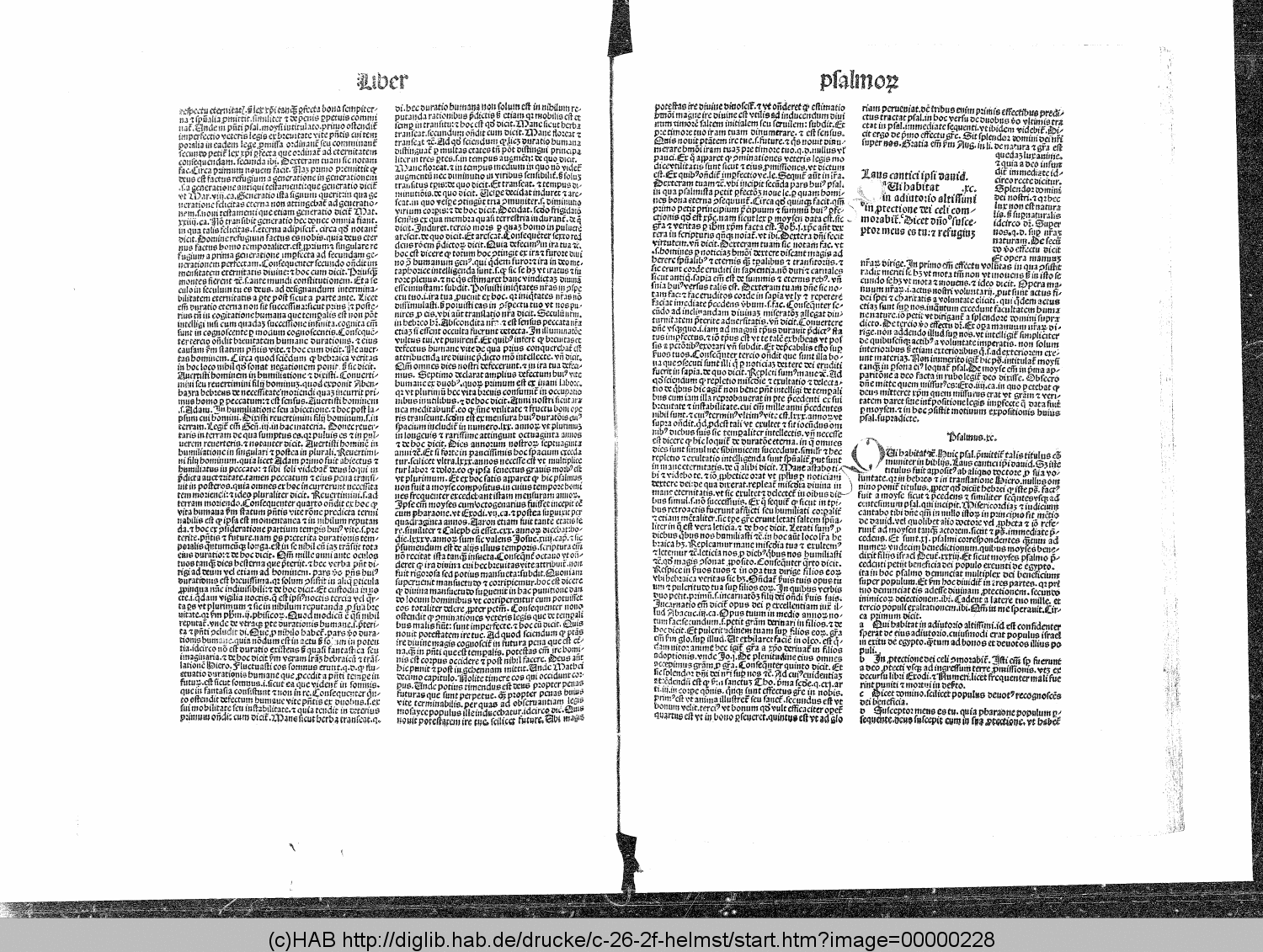 http://diglib.hab.de/drucke/c-26-2f-helmst/00000228.gif