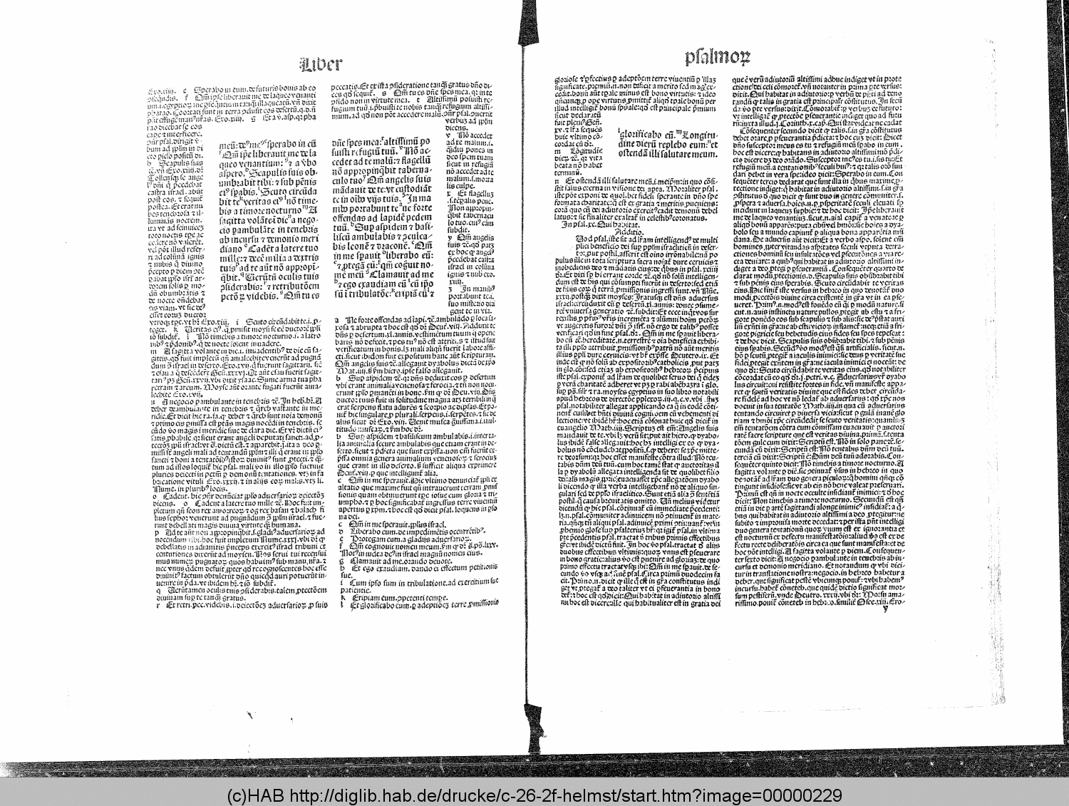 http://diglib.hab.de/drucke/c-26-2f-helmst/00000229.gif