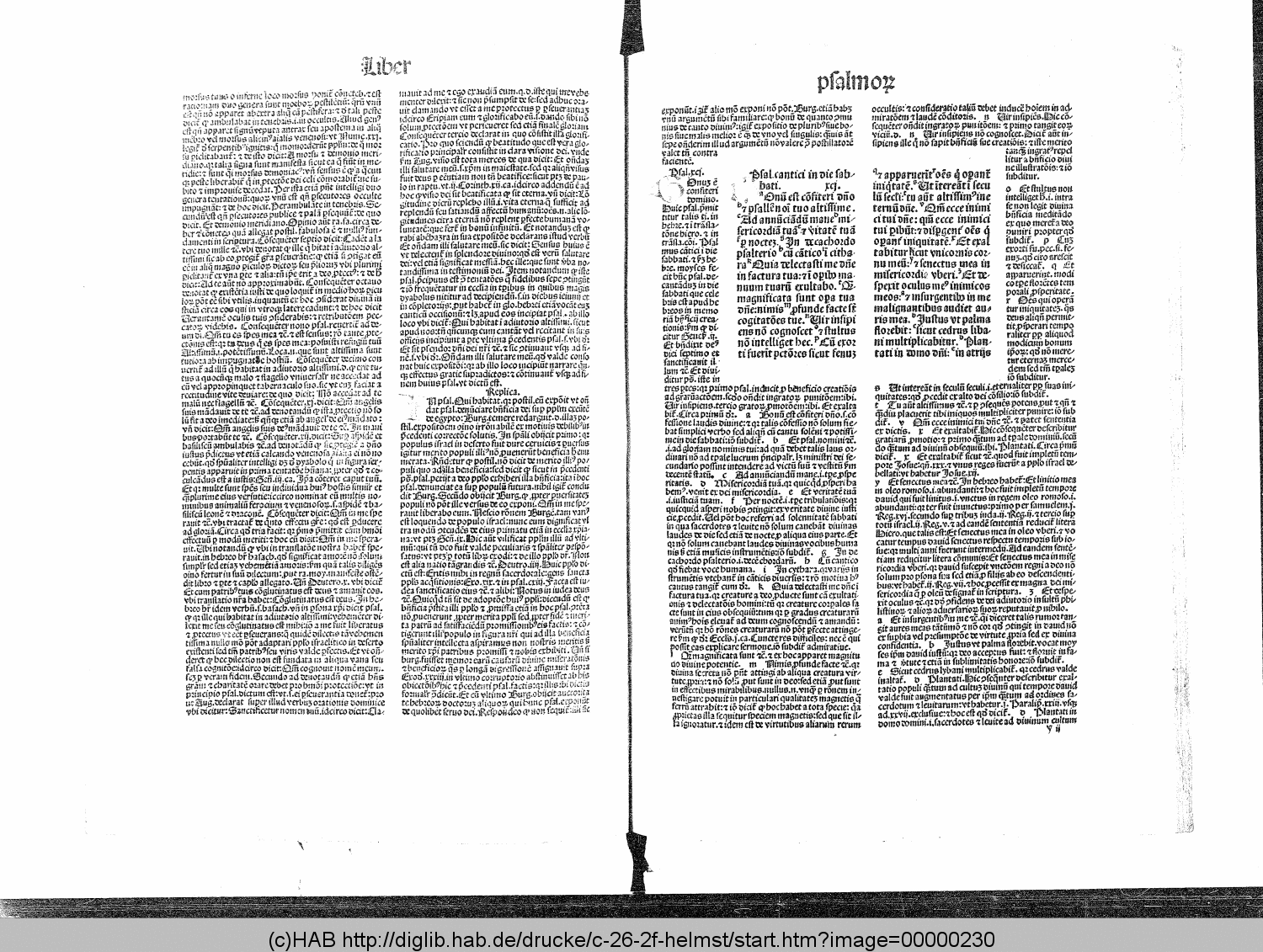http://diglib.hab.de/drucke/c-26-2f-helmst/00000230.gif