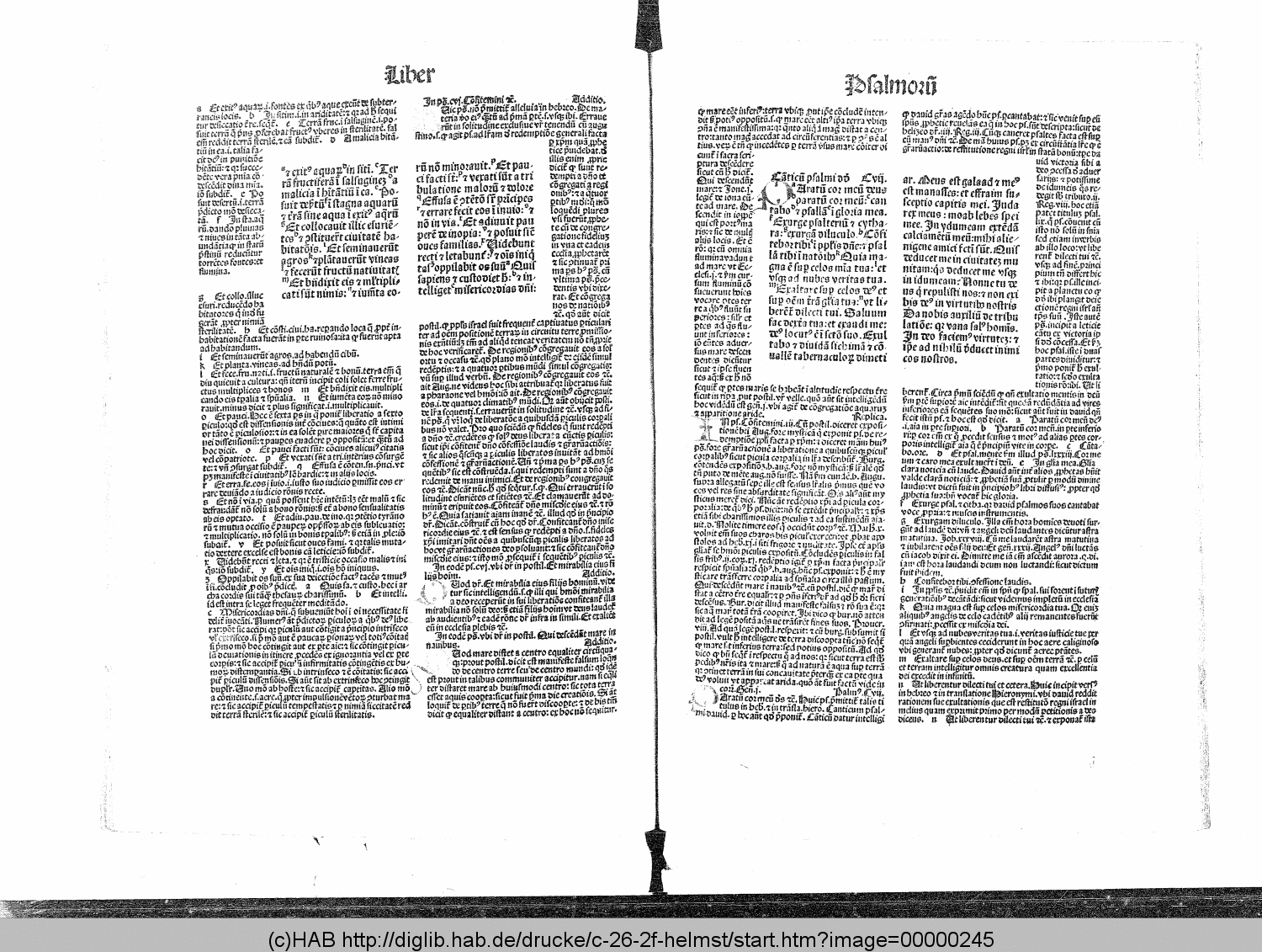 http://diglib.hab.de/drucke/c-26-2f-helmst/00000245.gif