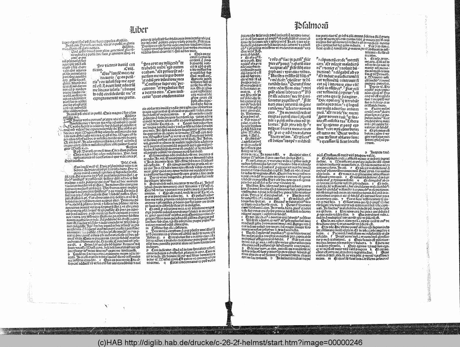http://diglib.hab.de/drucke/c-26-2f-helmst/00000246.gif
