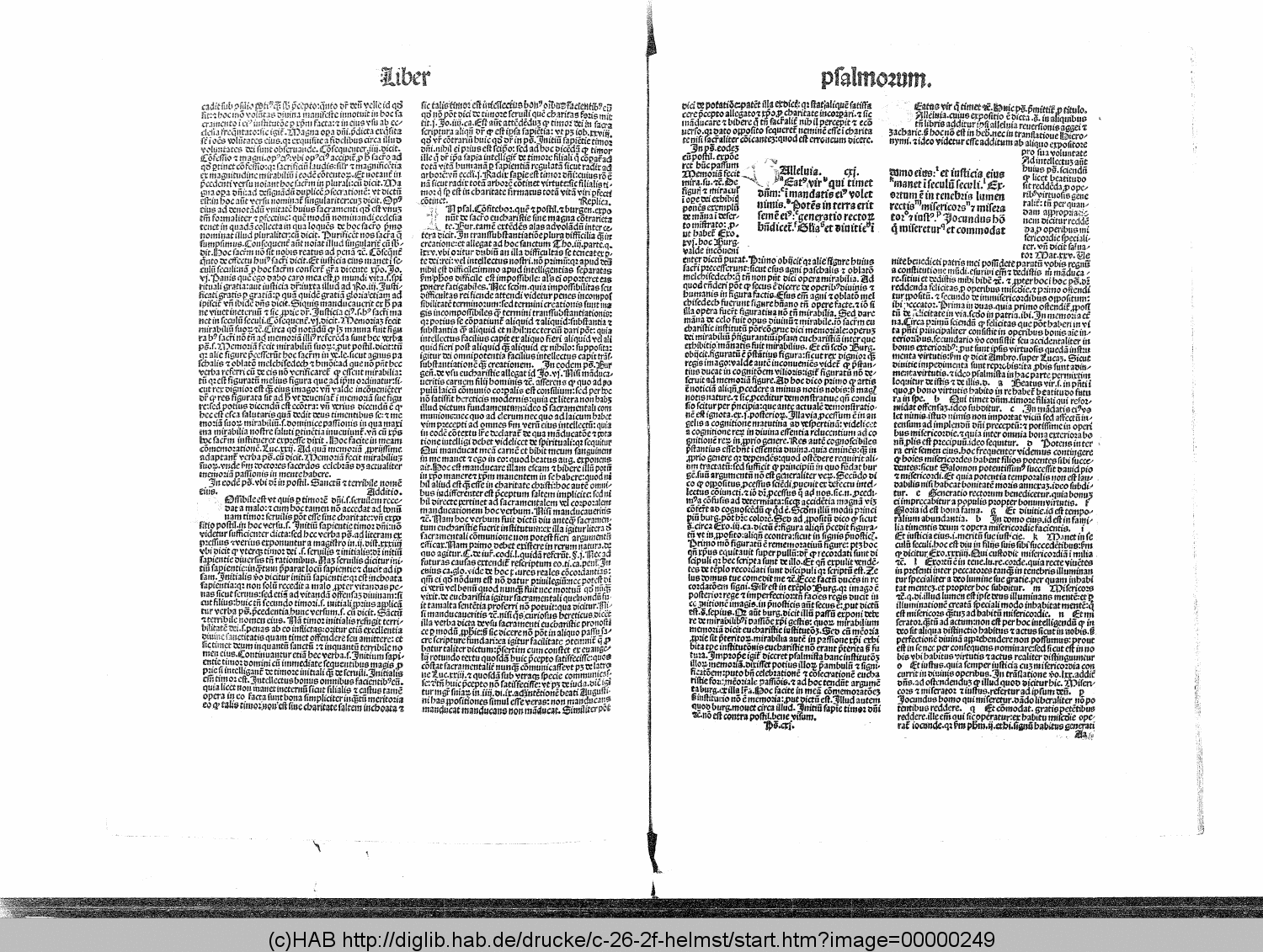 http://diglib.hab.de/drucke/c-26-2f-helmst/00000249.gif