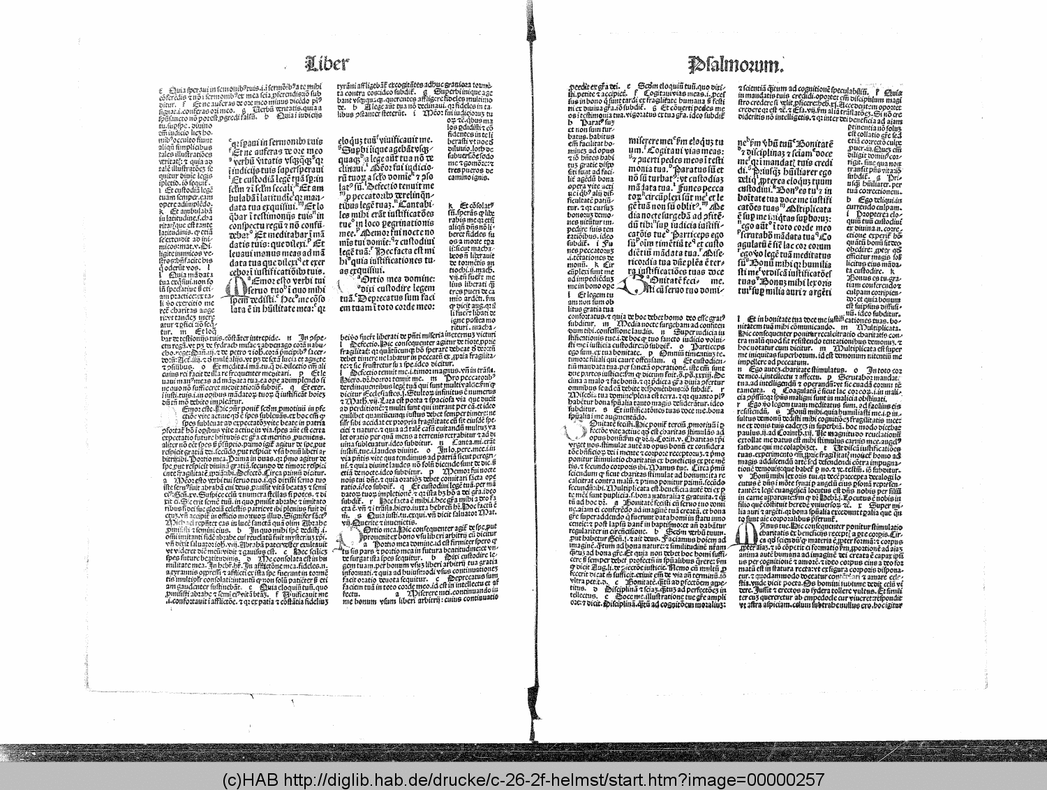 http://diglib.hab.de/drucke/c-26-2f-helmst/00000257.gif