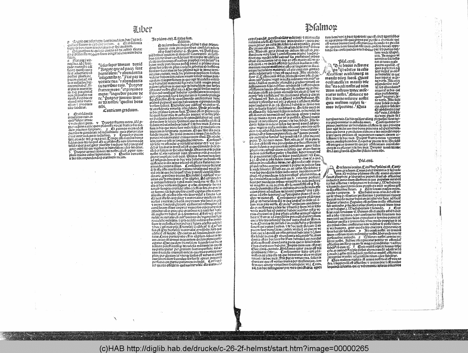 http://diglib.hab.de/drucke/c-26-2f-helmst/00000265.gif