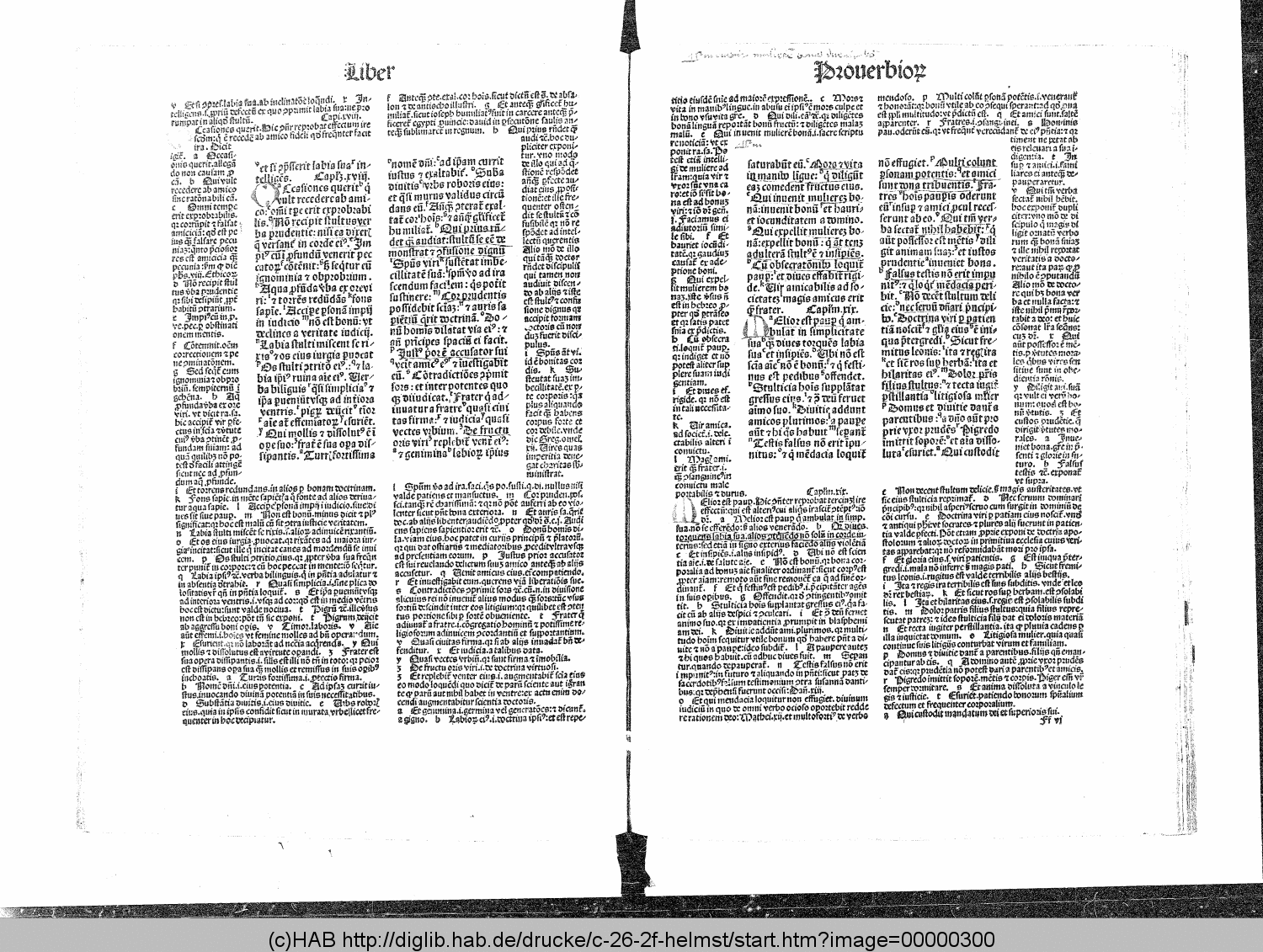 http://diglib.hab.de/drucke/c-26-2f-helmst/00000300.gif