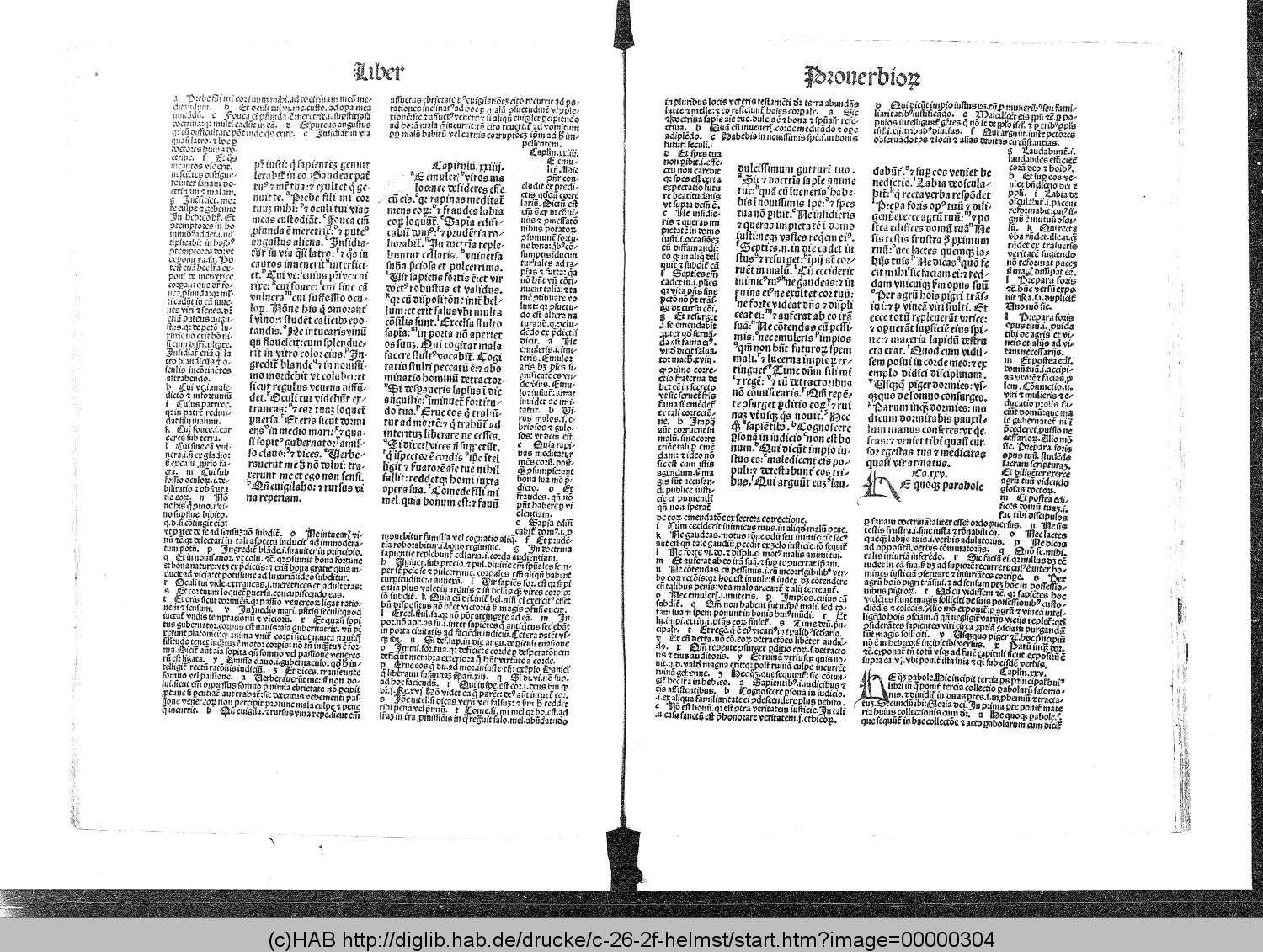 http://diglib.hab.de/drucke/c-26-2f-helmst/00000304.gif