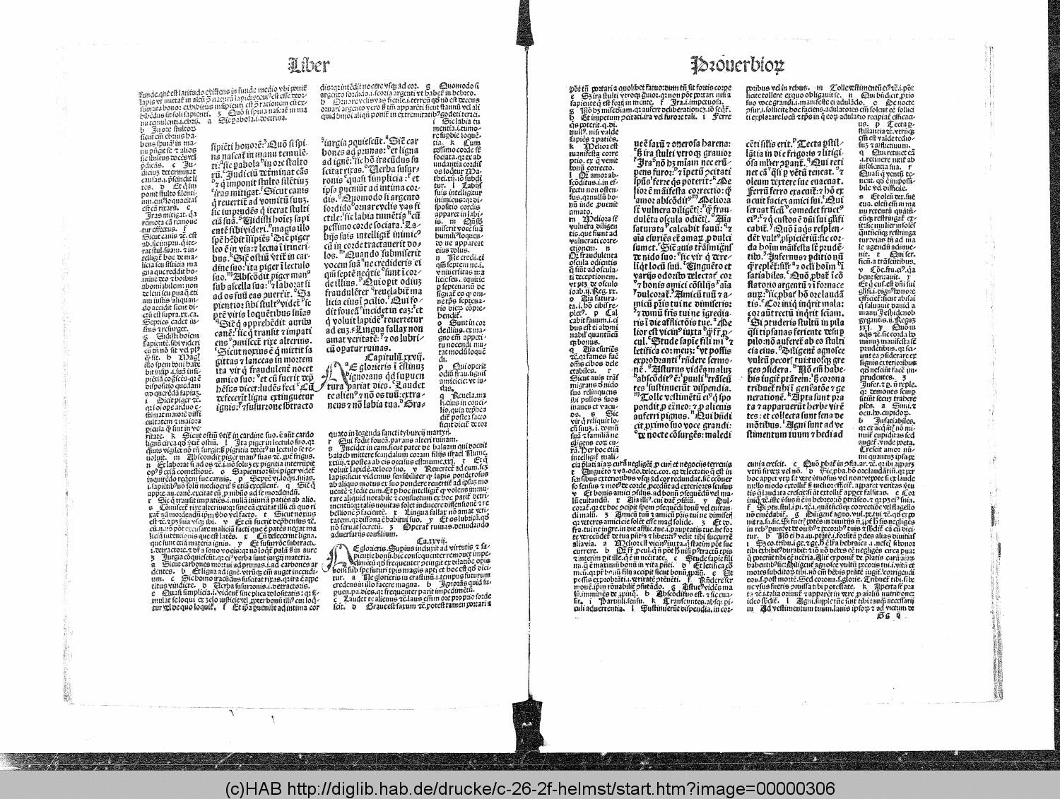 http://diglib.hab.de/drucke/c-26-2f-helmst/00000306.gif