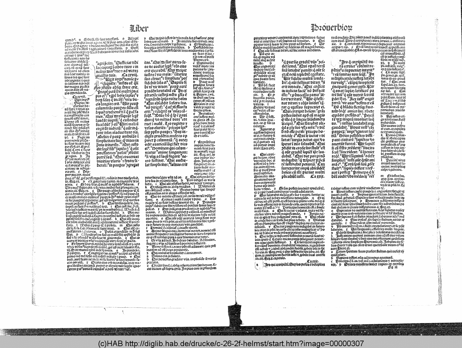 http://diglib.hab.de/drucke/c-26-2f-helmst/00000307.gif