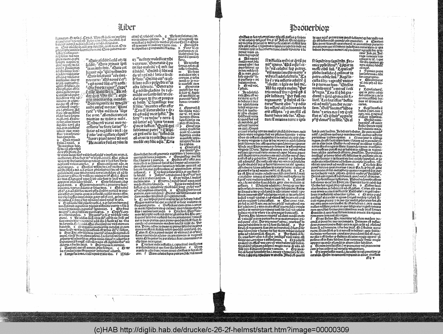 http://diglib.hab.de/drucke/c-26-2f-helmst/00000309.gif