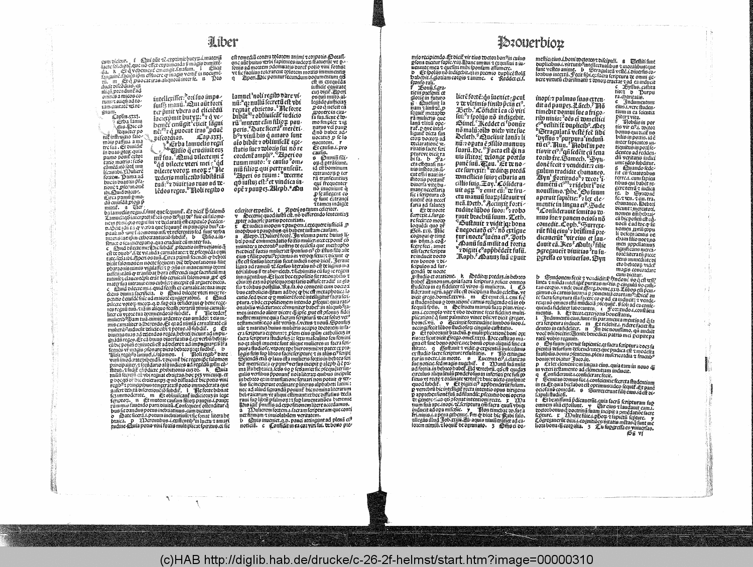 http://diglib.hab.de/drucke/c-26-2f-helmst/00000310.gif