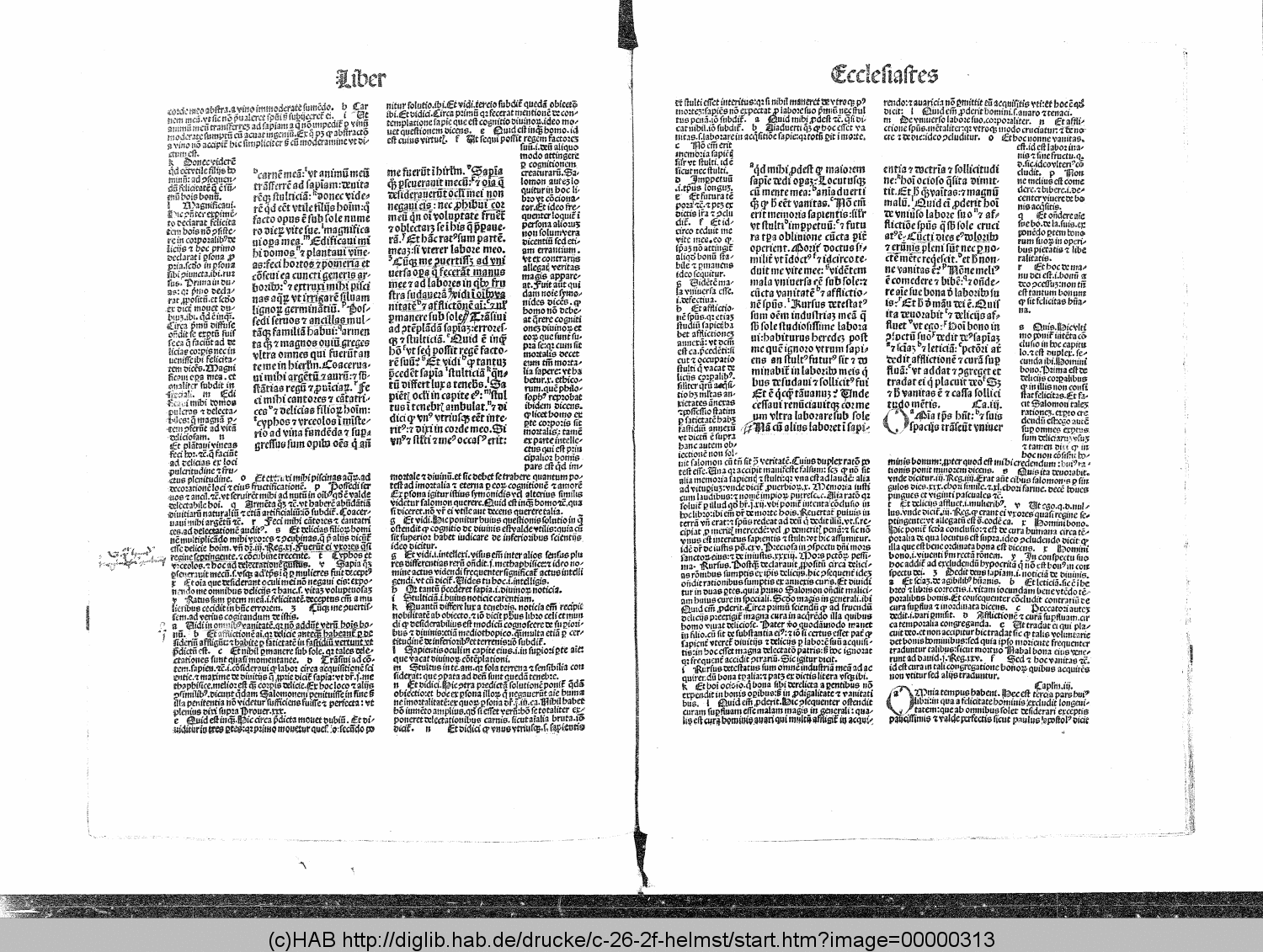 http://diglib.hab.de/drucke/c-26-2f-helmst/00000313.gif