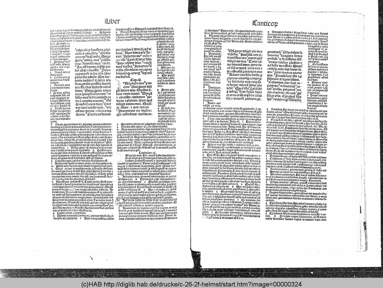 http://diglib.hab.de/drucke/c-26-2f-helmst/00000324.gif