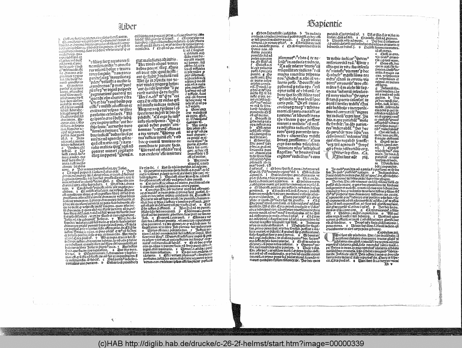 http://diglib.hab.de/drucke/c-26-2f-helmst/00000339.gif