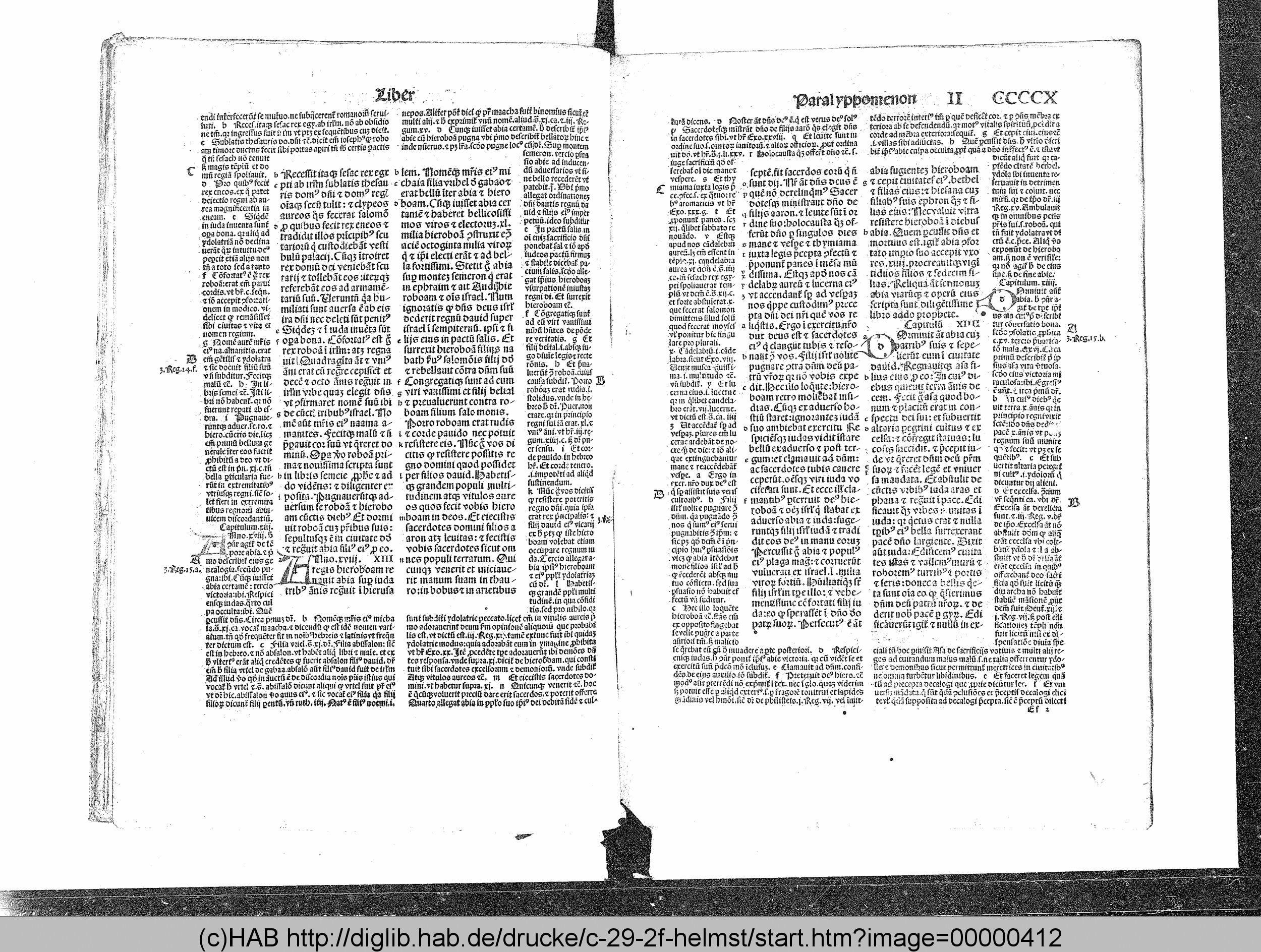 http://diglib.hab.de/drucke/c-29-2f-helmst/max/00000412.gif