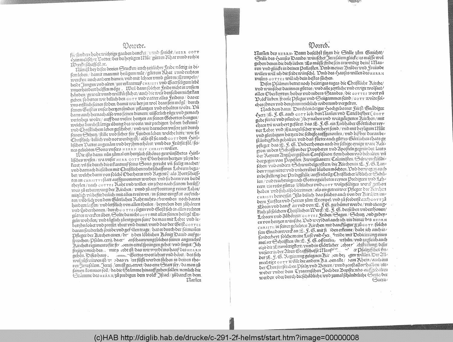http://diglib.hab.de/drucke/c-291-2f-helmst/00000008.gif