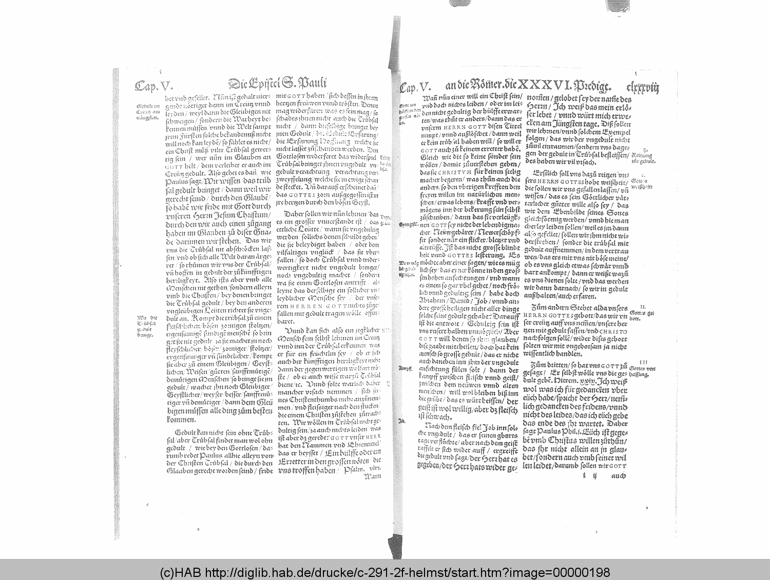 http://diglib.hab.de/drucke/c-291-2f-helmst/00000198.gif