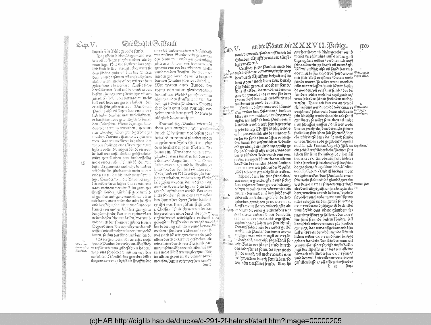 http://diglib.hab.de/drucke/c-291-2f-helmst/00000205.gif
