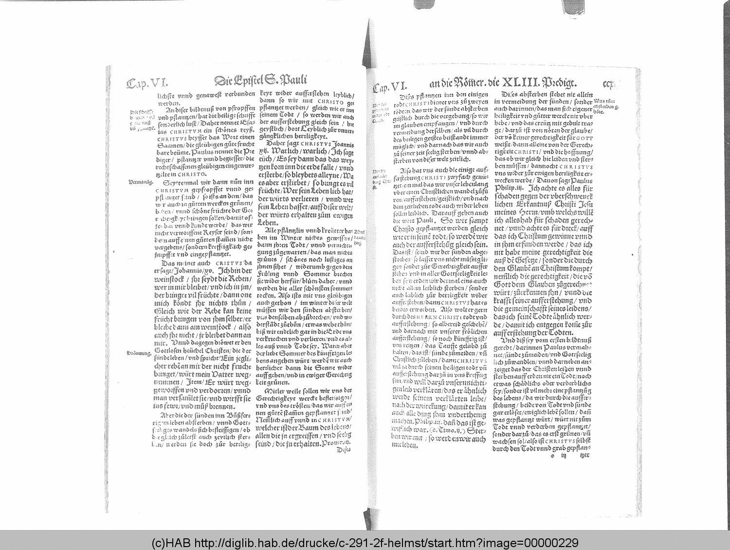 http://diglib.hab.de/drucke/c-291-2f-helmst/00000229.gif