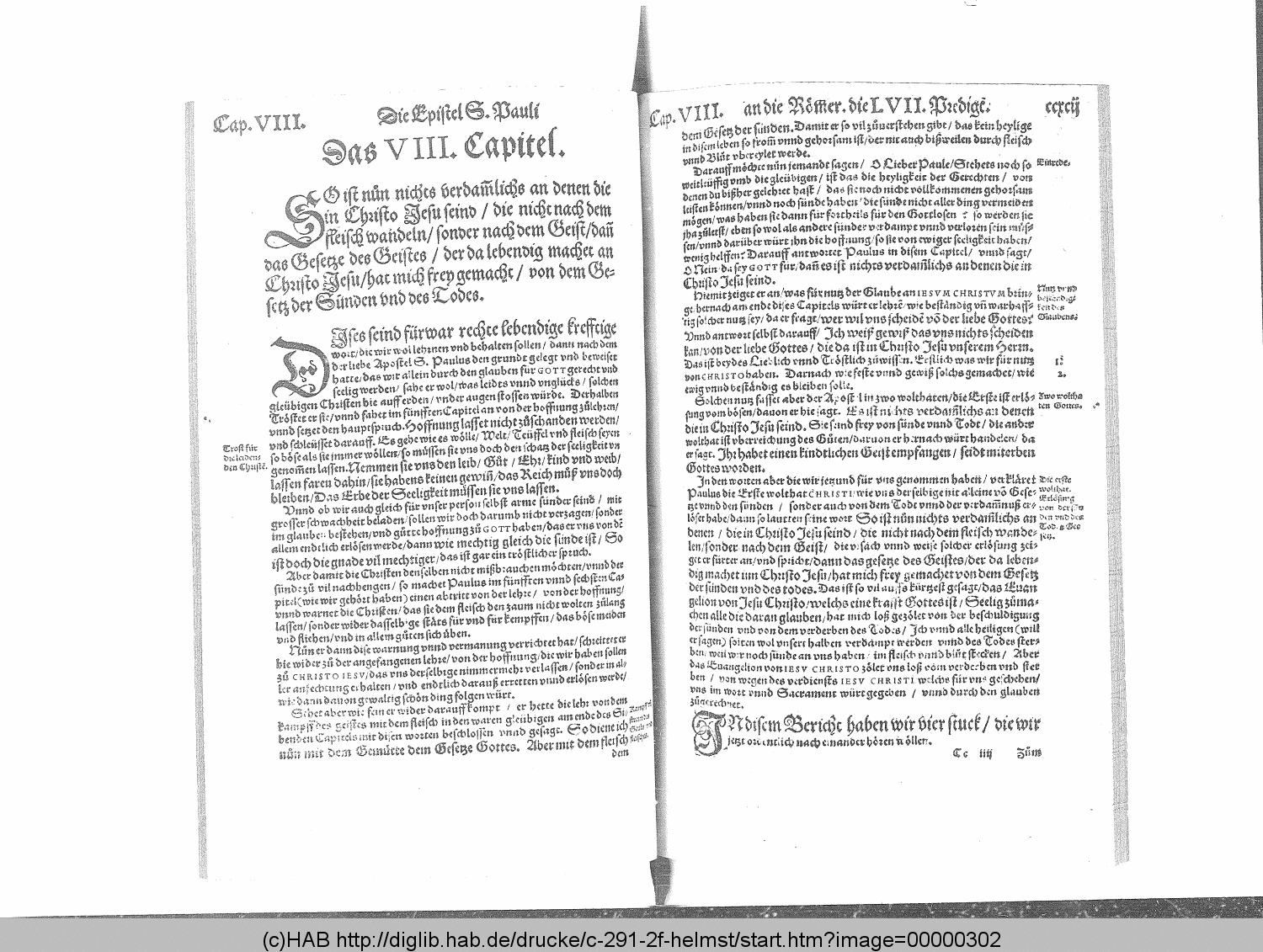 http://diglib.hab.de/drucke/c-291-2f-helmst/00000302.gif