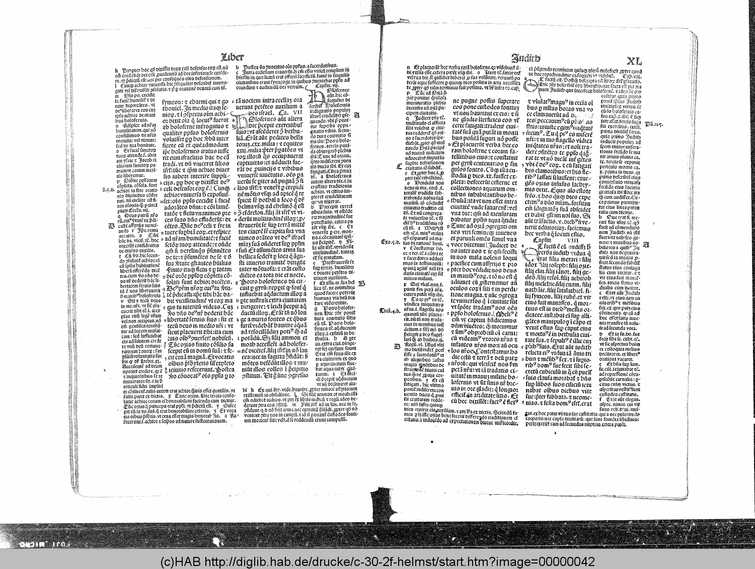 http://diglib.hab.de/drucke/c-30-2f-helmst/00000042.gif