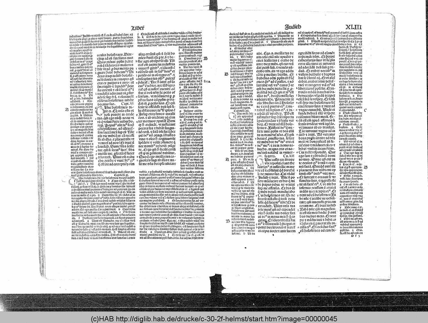 http://diglib.hab.de/drucke/c-30-2f-helmst/00000045.gif