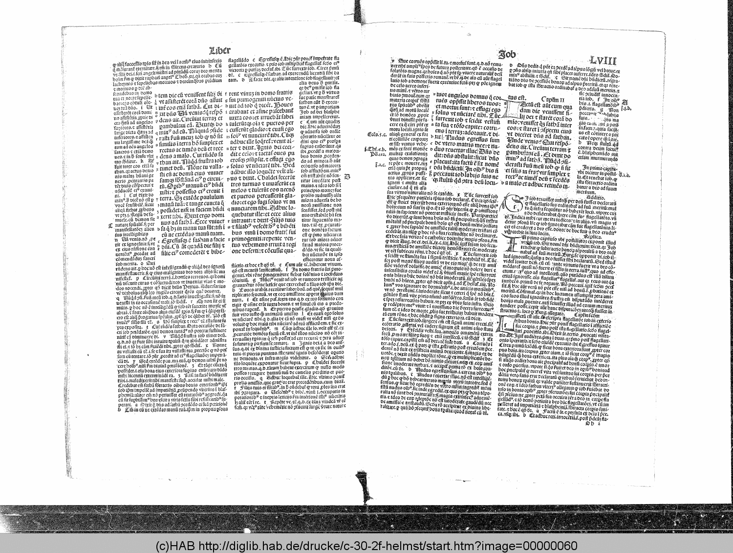 http://diglib.hab.de/drucke/c-30-2f-helmst/00000060.gif
