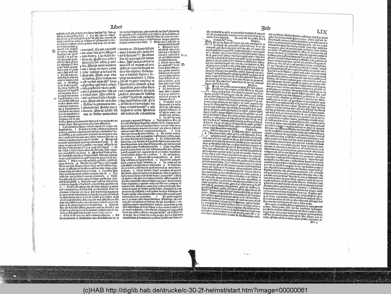 http://diglib.hab.de/drucke/c-30-2f-helmst/00000061.gif