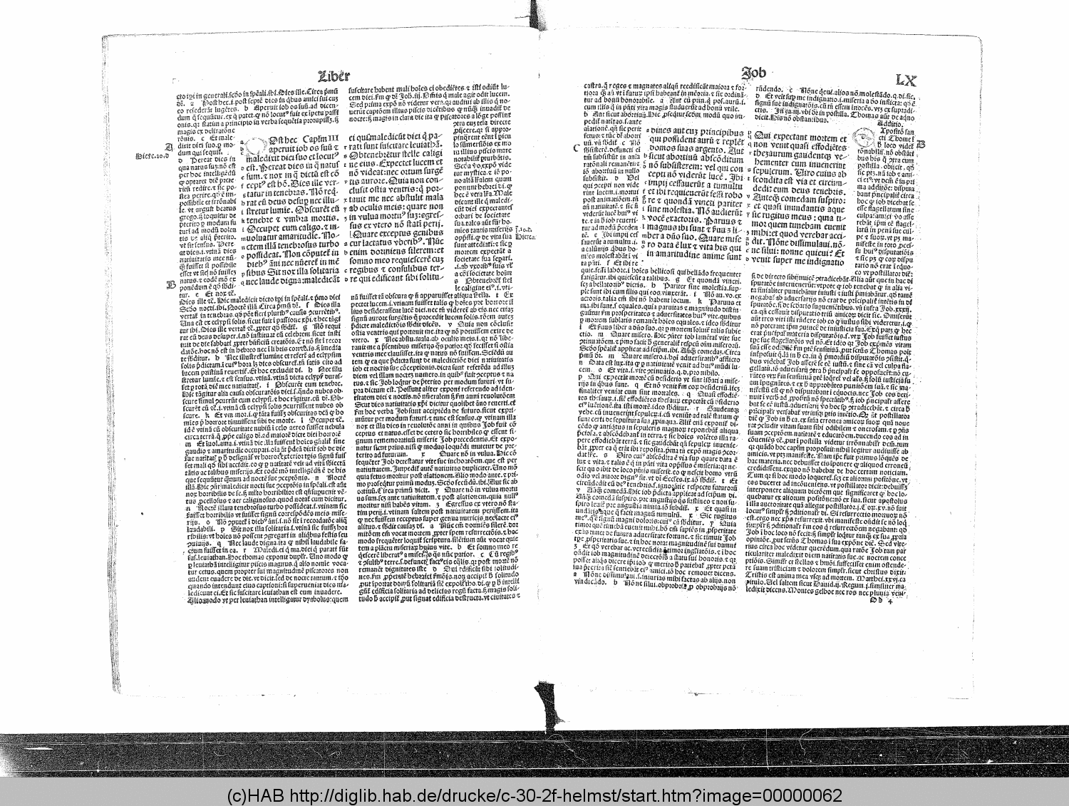 http://diglib.hab.de/drucke/c-30-2f-helmst/00000062.gif