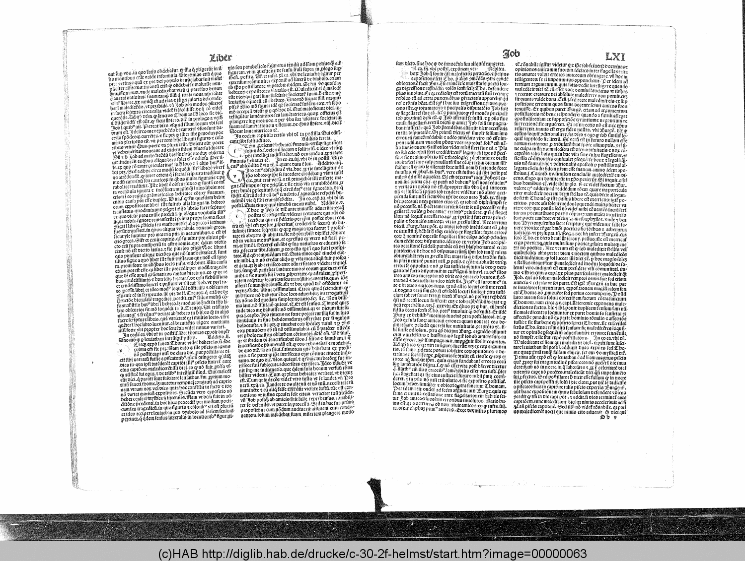 http://diglib.hab.de/drucke/c-30-2f-helmst/00000063.gif