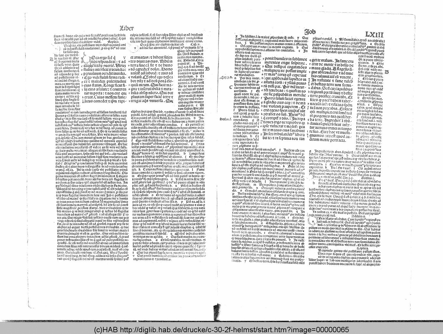 http://diglib.hab.de/drucke/c-30-2f-helmst/00000065.gif