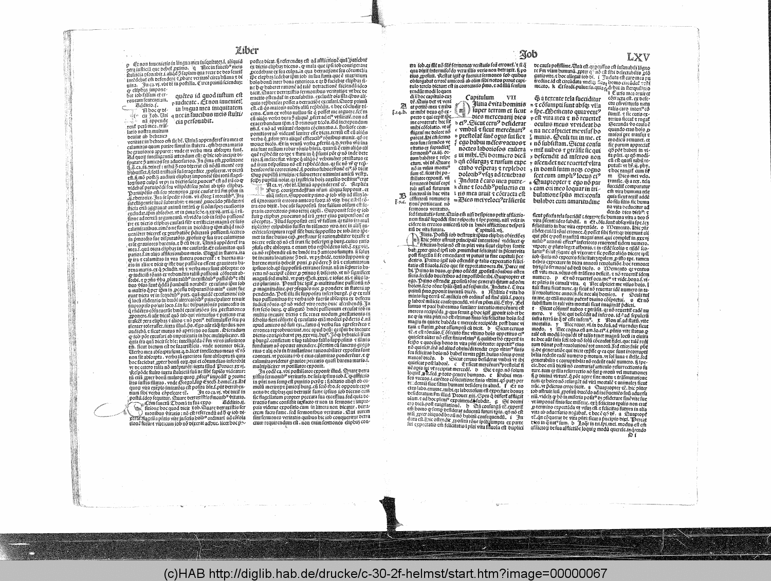 http://diglib.hab.de/drucke/c-30-2f-helmst/00000067.gif